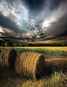 15P Country dreams...
