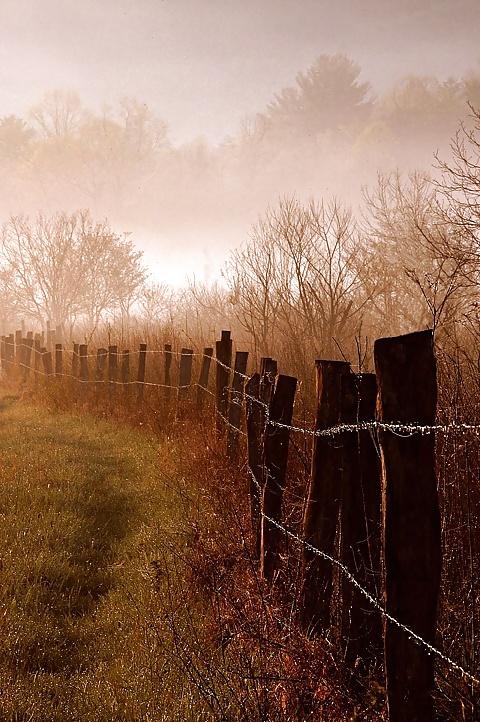 15P Country dreams...