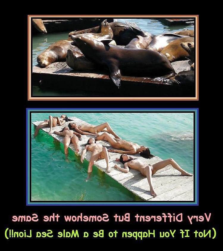 20P Funny Sexy Captioned Pictures & Posters CCXXXIII 51613