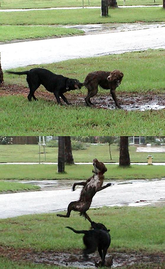 24P Submit Your Own Caption 6