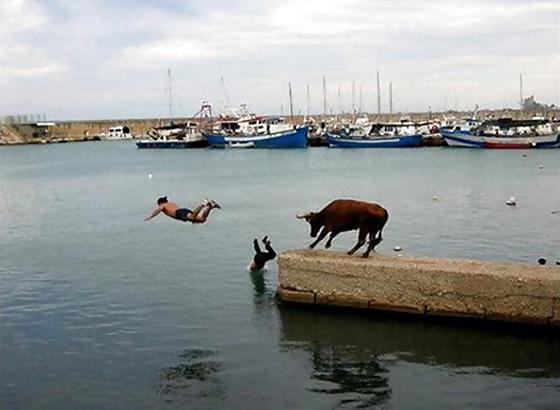 24P Submit Your Own Caption 6