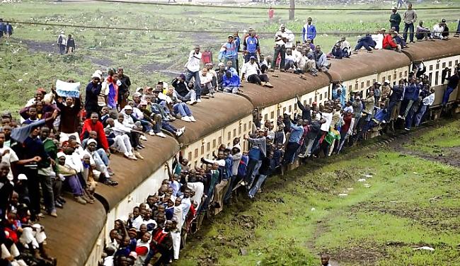 22P Planes,Trains, and Autos.2