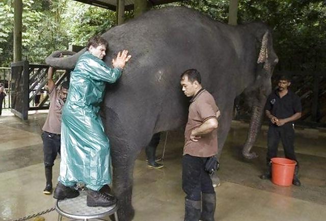 17P Fun Pictures with Animals 2