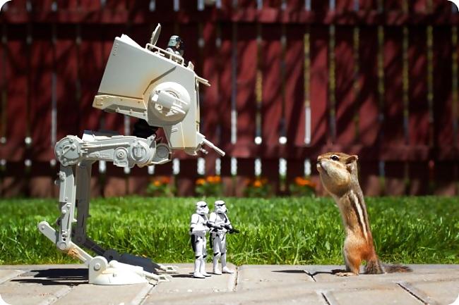 17P Fun Pictures with Animals 2