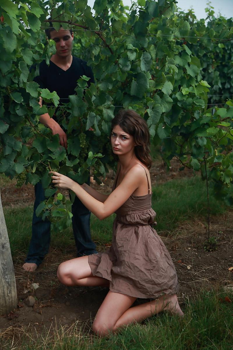 19P A hot couple between wineplants