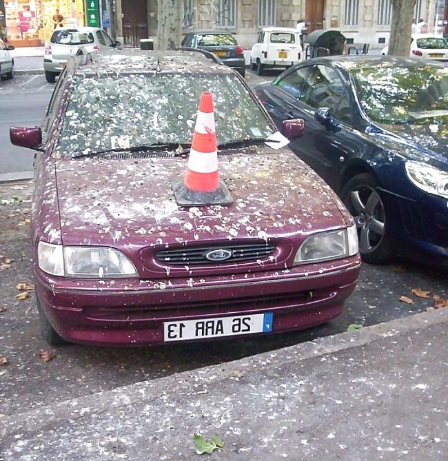 25P Dude! My Car! 2