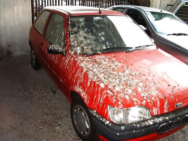 25P Dude! My Car! 2