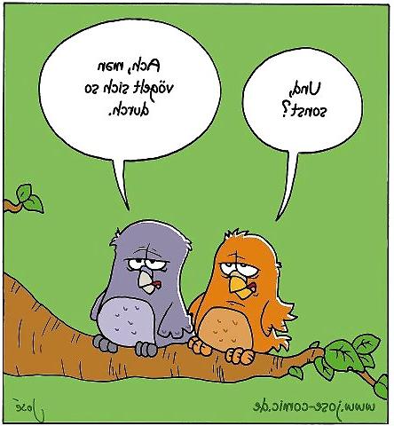 23P Lustige Bilder