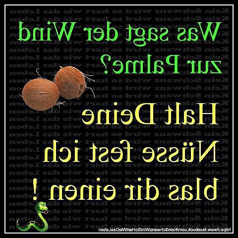 23P Lustige Bilder
