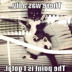 25P Funny Stuff because it cant all be porn