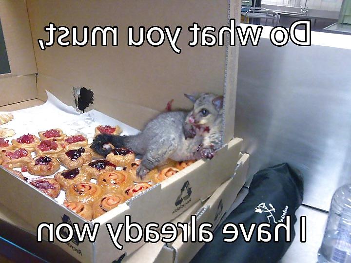 25P Funny Stuff because it cant all be porn