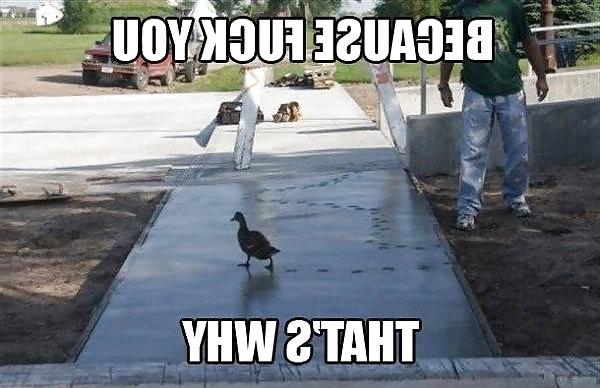 25P Funny Stuff because it cant all be porn
