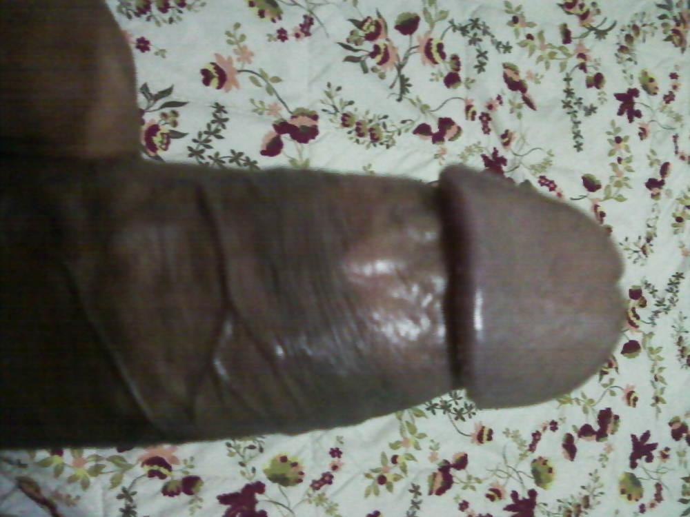 11P MEU PENIS