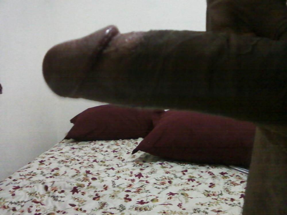 11P MEU PENIS
