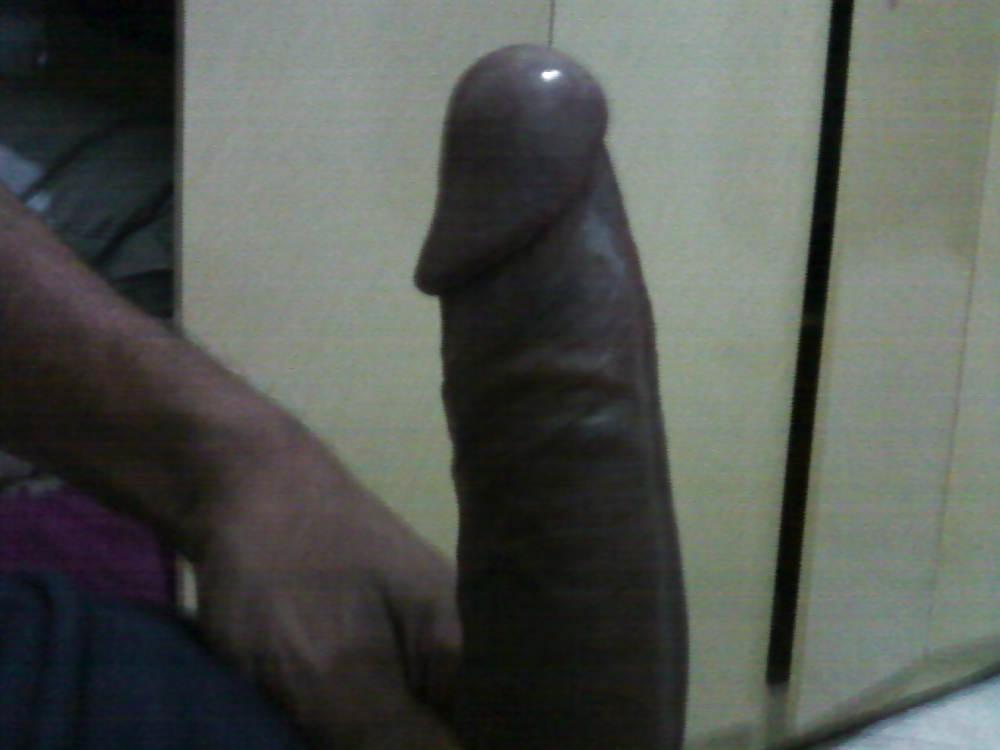 11P MEU PENIS