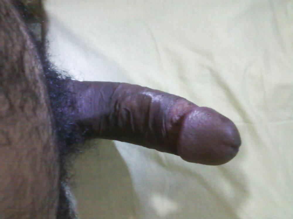 11P MEU PENIS