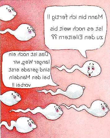 19P Funny