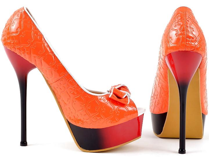 15P Shoe Closet