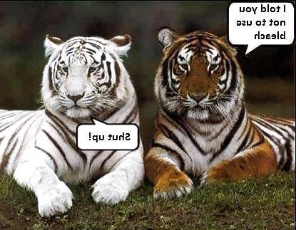 12P Funny
