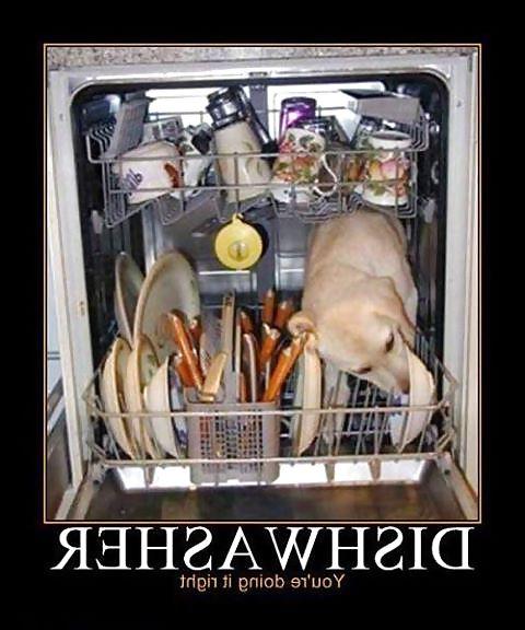 12P Funny