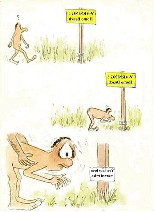 25P Cartoons 4