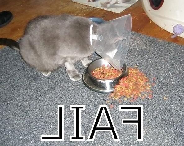 25P Fail !!