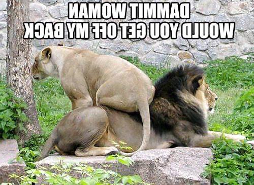 5P Funny