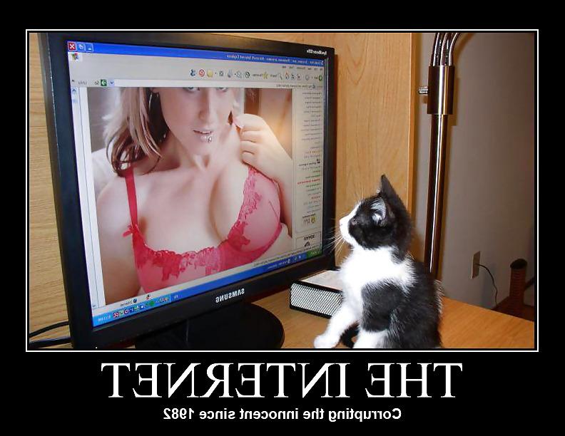 24P Demotivational Porn