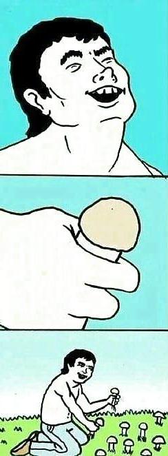 13P Funny pics