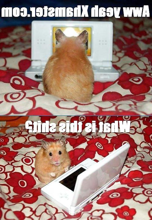 20P Funny