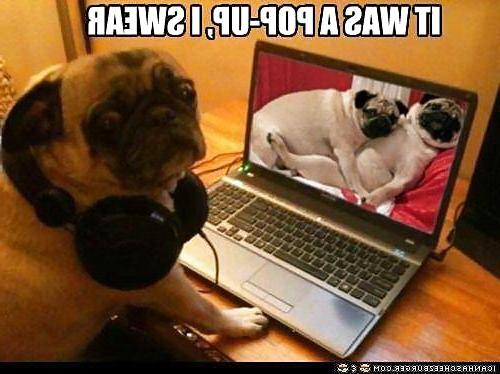 20P Funny