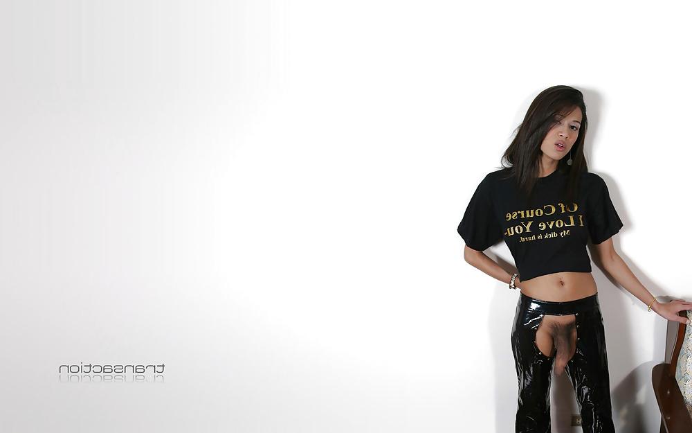 19P World sexiest shemale wallpaper