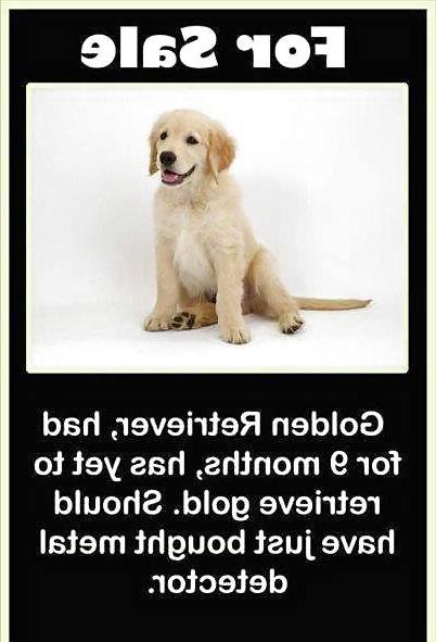 7P Funny quotes 04