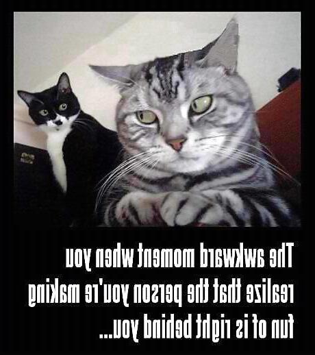 20P Funny