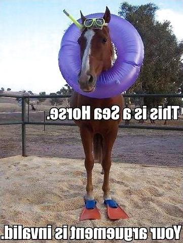 20P Funny