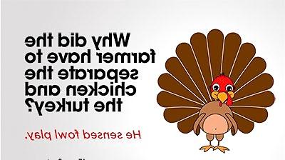 15P Funny Quotes 
