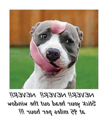 10P Funny