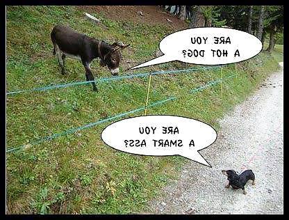 10P Funny