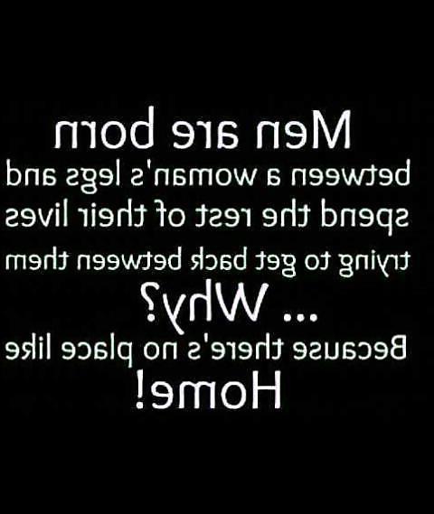 4P FUNNY FOTOS