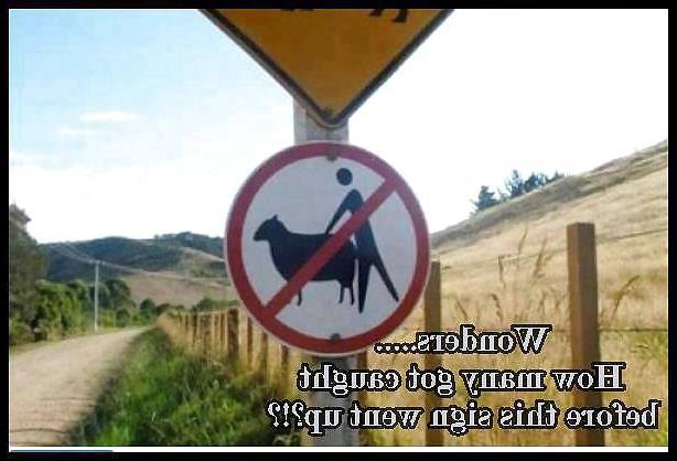 4P FUNNY FOTOS