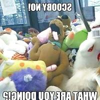 11P Funny stuff