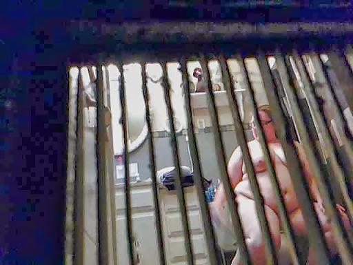 25P Spy BBW