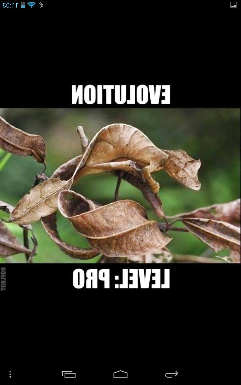 8P Funny