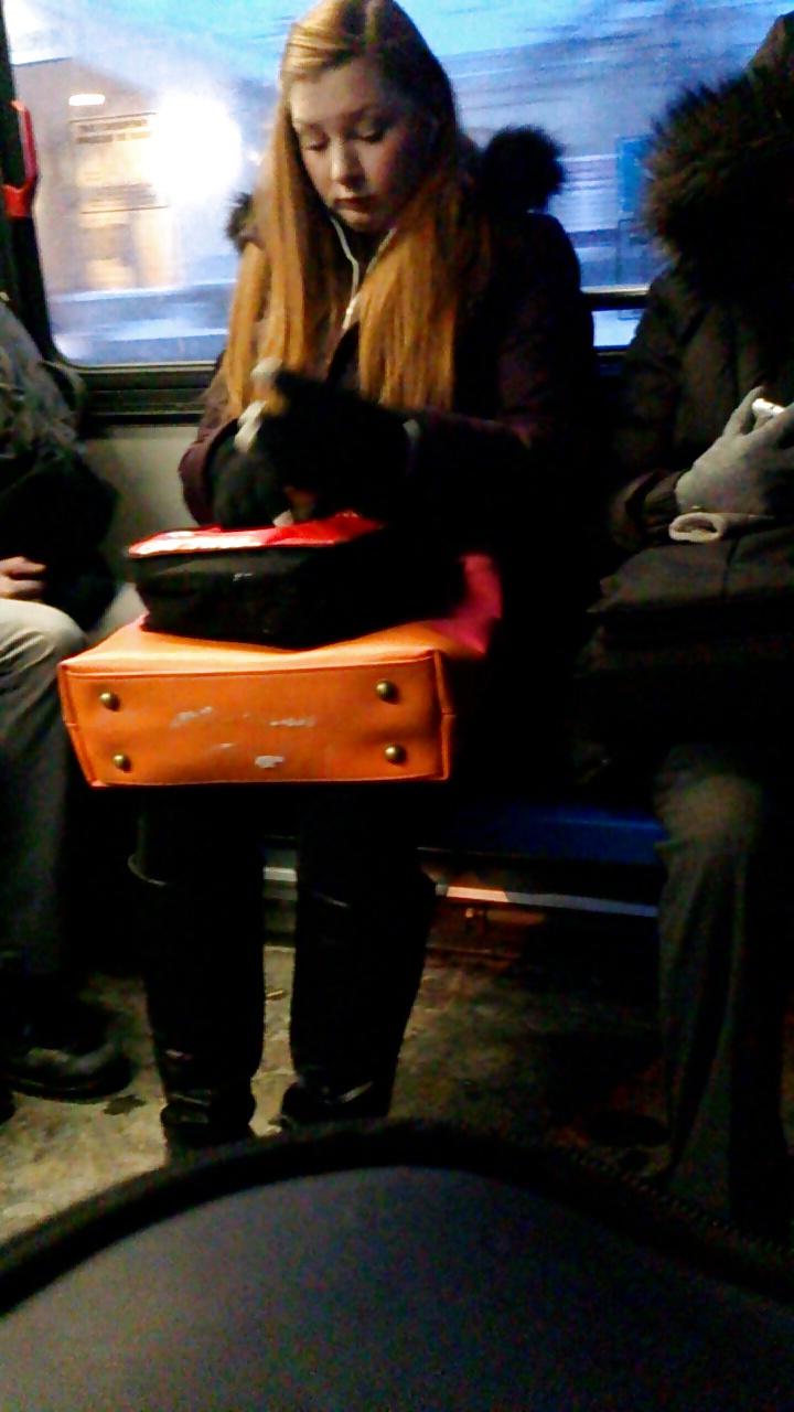 25P Voyeur - lovely ladies of public transit