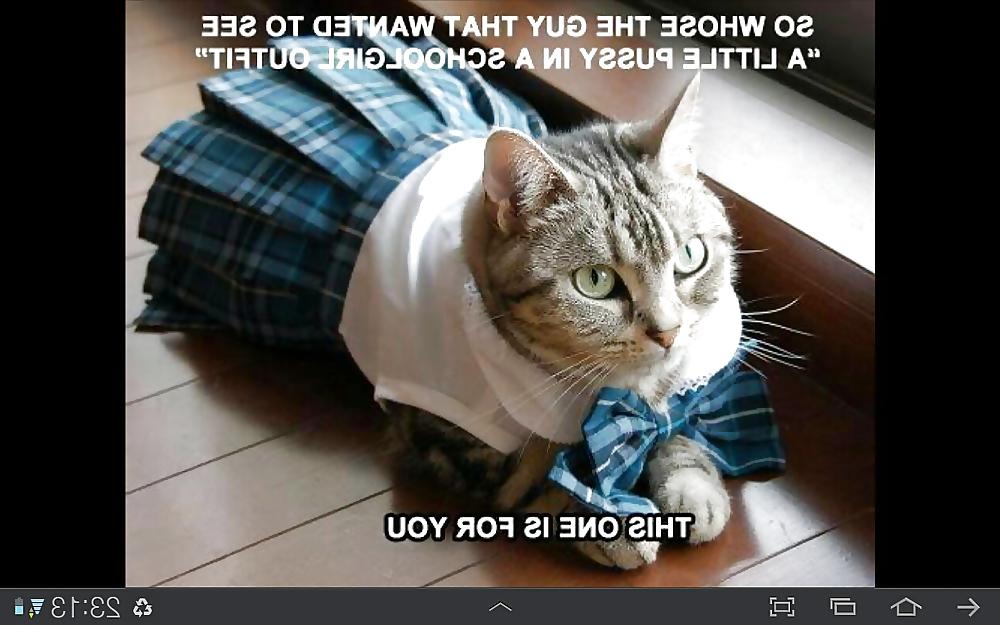 25P Funny
