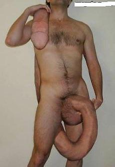 25P Funny pics4