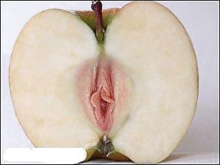 25P Funny pics4