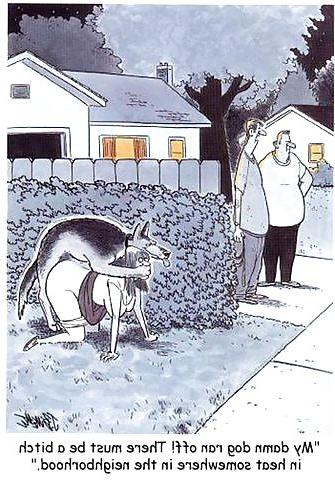 25P Funny pics4