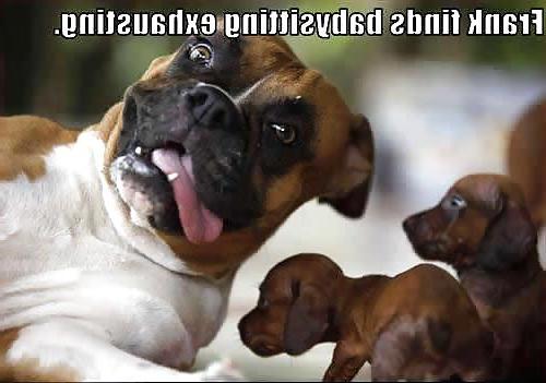 12P More pics that make me laugh