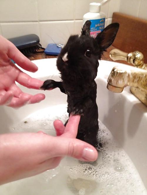 12P More pics that make me laugh